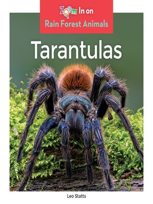 Tarantulas - ebook